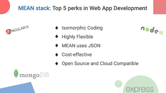 top 5 perks in web app development mean stack 1 mean stack