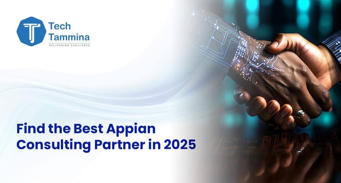 appian consulting partner