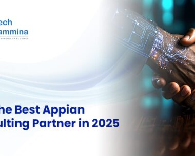 Appian Consulting Partner