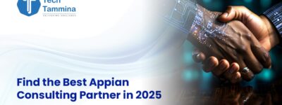 appian consulting partner