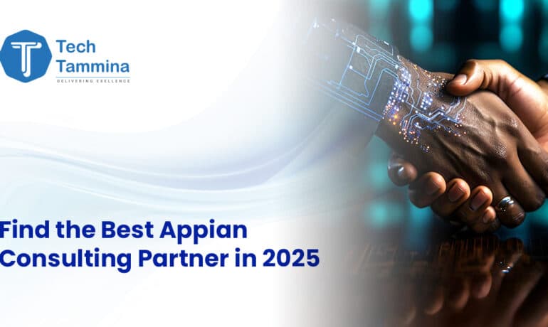 appian consulting partner