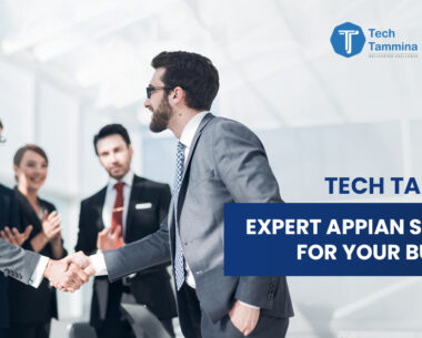 Expert Appian Support