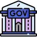 government